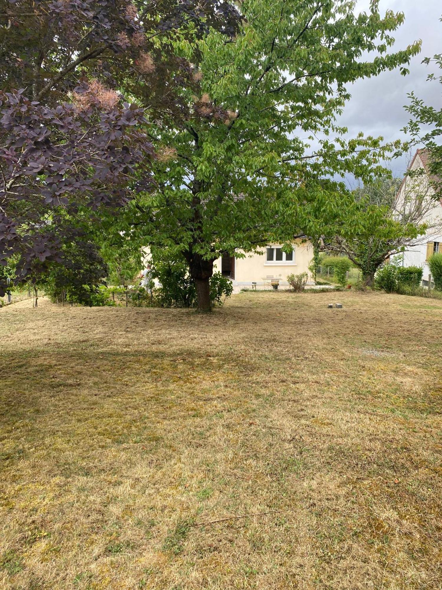 Au Calme - Maison Avec Grand Jardin - Proche Zoo De Beauval Vicq-sur-Nahon 外观 照片